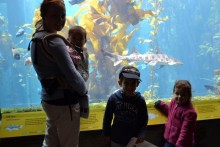 Monterey aquarium