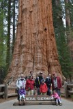 Sequoia National Parc